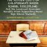 The Hidden Cost of California’s Harsh School Discipline: And the Localized Economic Benefits From Suspending Fewer High School Students
